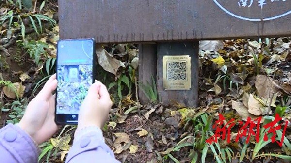 手机扫描景区二维码