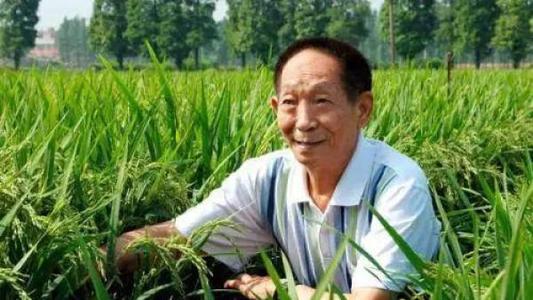 “袁隆平中华拓荒人”抖音账号已注销