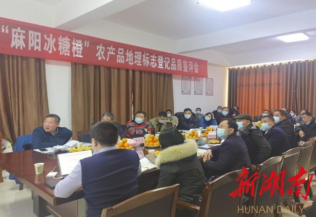 “麻阳冰糖橙”农产品地理标志品质鉴评会 “麻阳冰糖橙”农产品地理标志品质鉴评会
