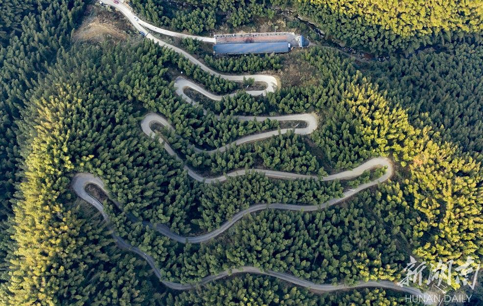 罗溪景区旅游环道俯瞰图。 罗溪景区旅游环道俯瞰图。