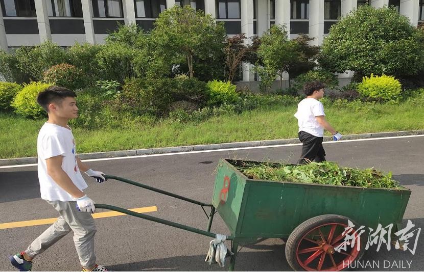 朱华峰参加所在党支部劳动养成志愿服务活动。图片由受访者提供 朱华峰参加所在党支部劳动养成志愿服务活动。图片由受访者提供