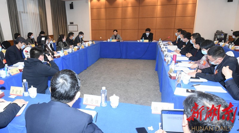 李微微参加民革界别小组讨论:多建睿智之言多献务实之策多出助推之力 新湖南www.hunanabc.com