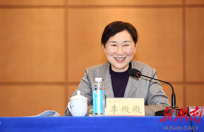 李微微参加民革界别小组讨论:多建睿智之言多献务实之策多出助推之力 新湖南www.hunanabc.com