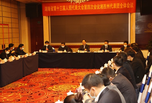 毛伟明在湘西州代表团审议时强调 以实干实绩落实“三高四新”战略