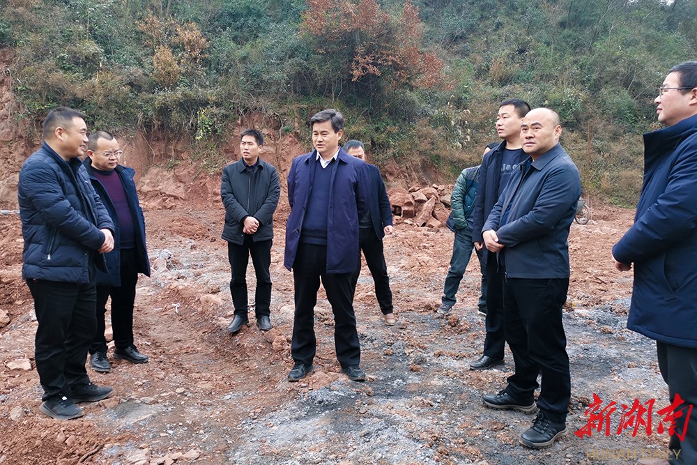 向恒林深入乡镇检查督导农业产业建设工作