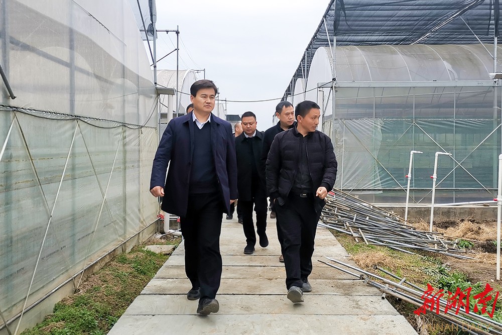 向恒林深入乡镇检查督导农业产业建设工作
