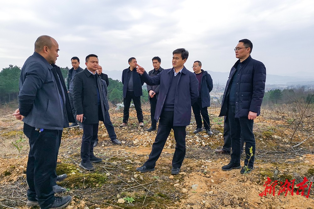 向恒林深入乡镇检查督导农业产业建设工作