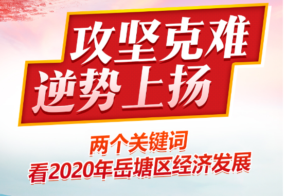圖解｜2020年岳塘區(qū)經(jīng)濟(jì)工作