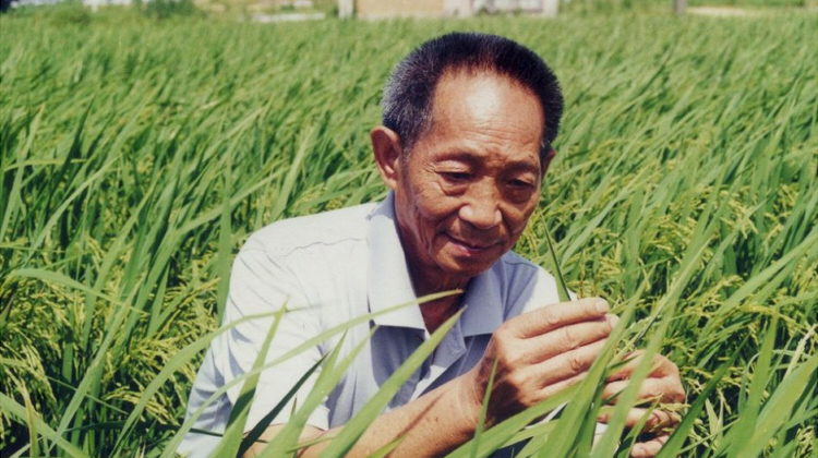 开卷迎新满目春！袁隆平樊锦诗等撰文谈读书