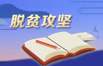 用生命践行脱贫攻坚使命的“一线总指挥”