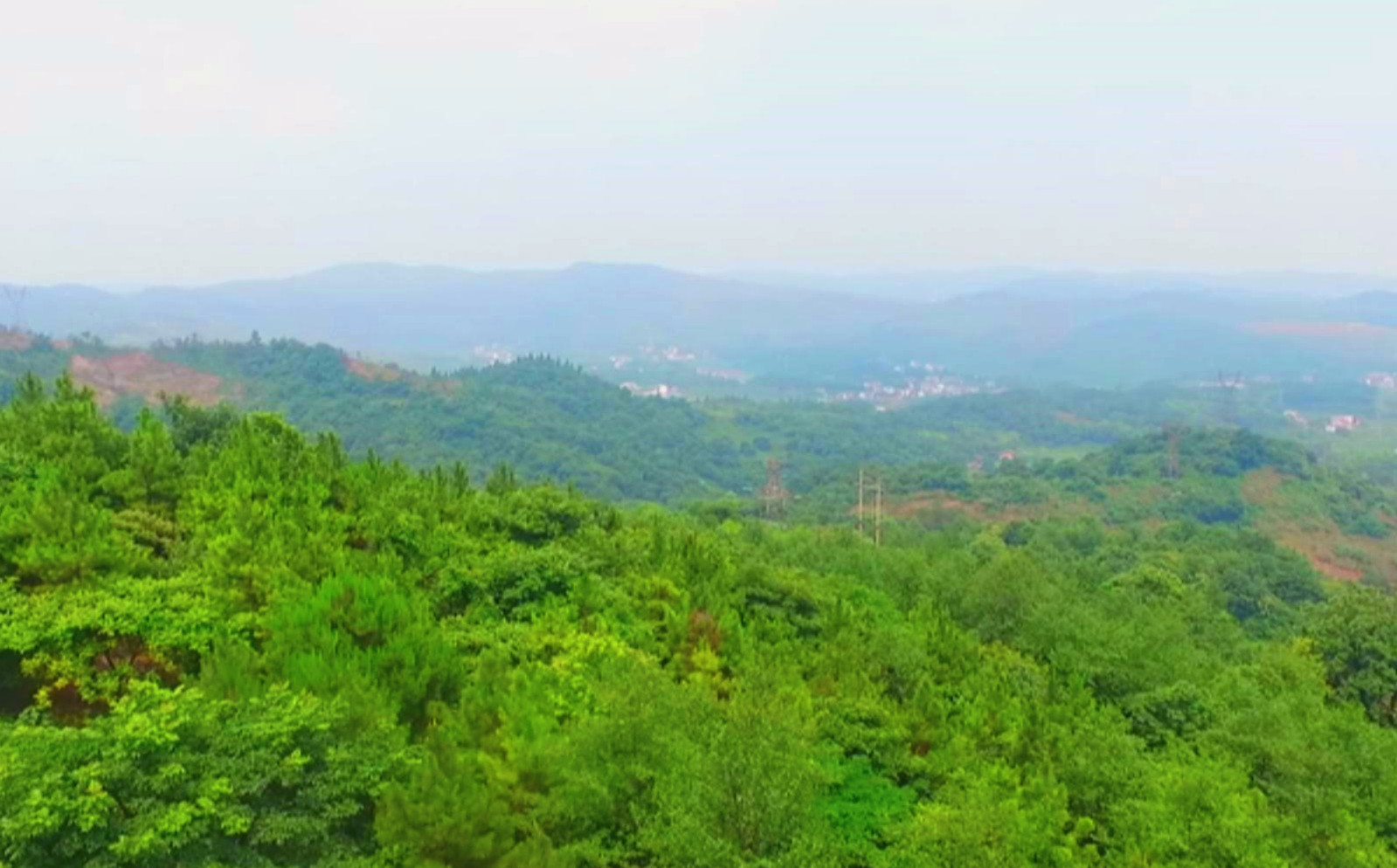 向乾勇曾伯怡帶頭參加婁底市第九個(gè)“全民義務(wù)植樹(shù)日”活動(dòng)