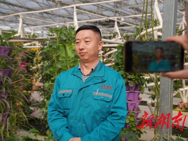 ▲九丰现代农博园总经理冯树珍接受记者采访。(卢嘉俊 摄) ▲九丰现代农博园总经理冯树珍接受记者采访。(卢嘉俊 摄)