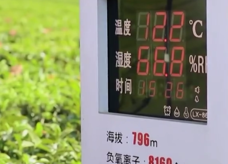 《这八年——精准扶贫在湖南》第三集：各辟蹊径
