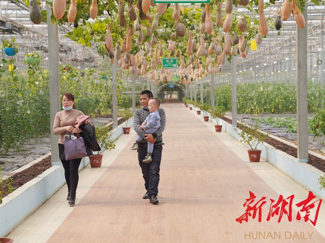 ▲2月23日,游客参观九丰现代农博园。(卢嘉俊 摄) ▲2月23日,游客参观九丰现代农博园。(卢嘉俊 摄)