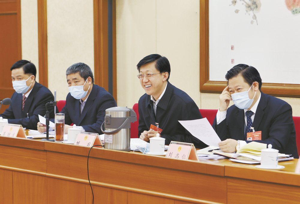 湖南代表团分组审议
