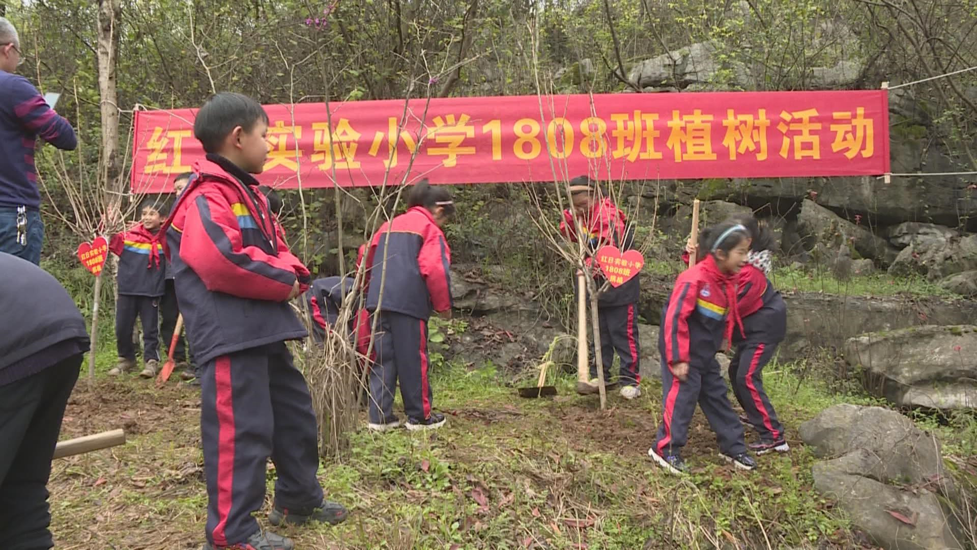 紅日實(shí)驗(yàn)小學(xué)1808班開展植樹活動