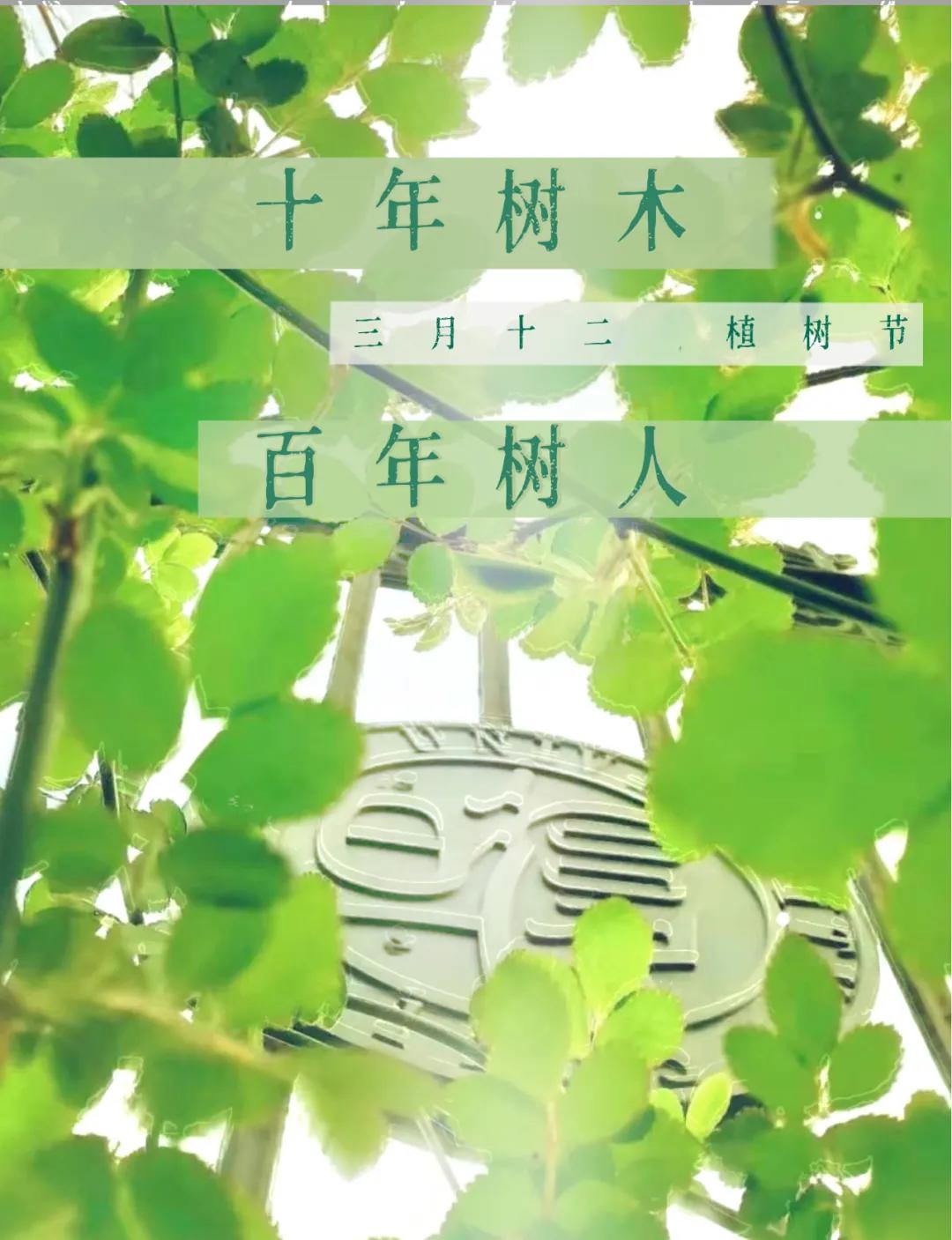【图集】沪上46所高校植树节创意海报，你最欣赏哪一个？