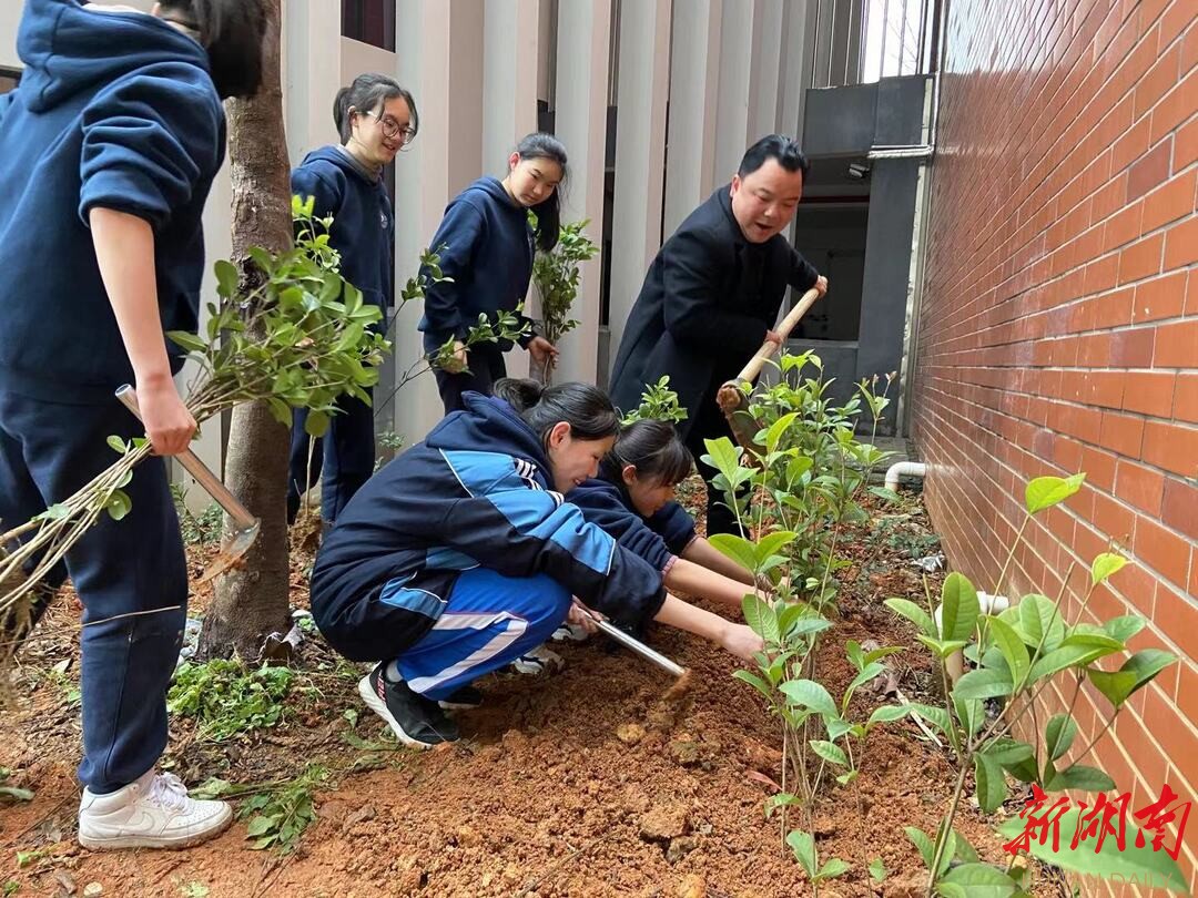 识绿,植绿,爱绿 长沙市稻田特立中学开展植树节系列活动