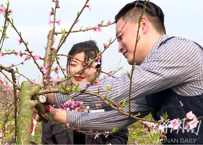 十里桃林里赏花的游客。黄山钟宇 摄