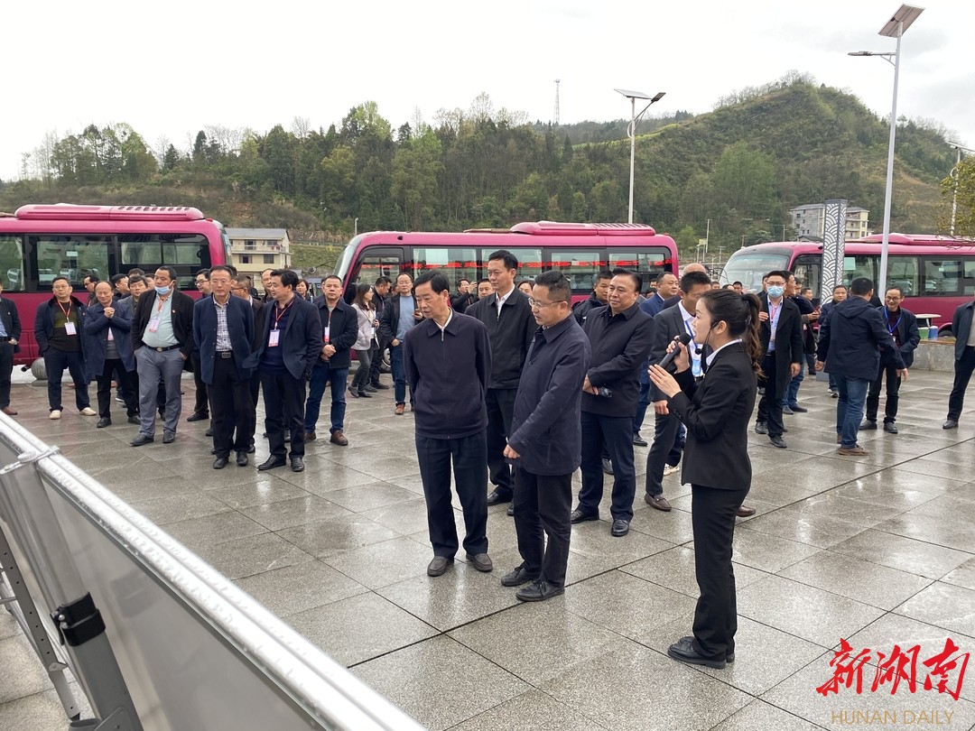 探索基础教育高质量发展路径——张家界市召开基础教育高质量发展会议 新湖南www.hunanabc.com
