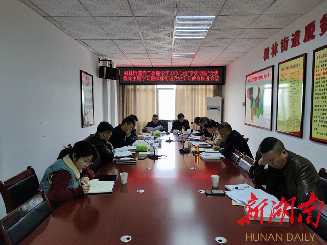 通讯员 邹辉)3月25日上午,新化县枫林街道组织召开党史学习教育推进会