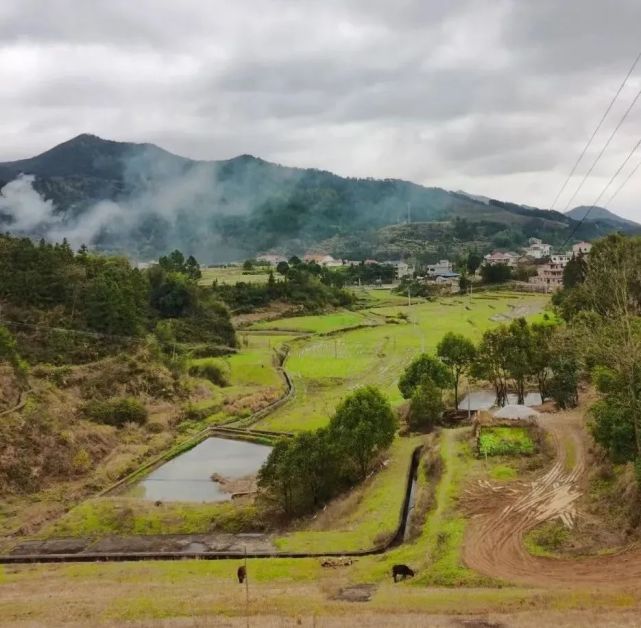 以悲情延续梅山文化的活力——评马笑泉长篇小说《巫地传说》