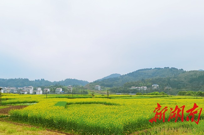 麻溪铺自然风景如画
