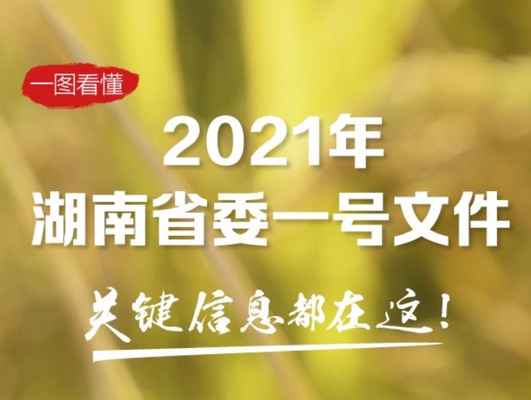 一图看懂2021年湖南省委一号文件，关键信息都在这！