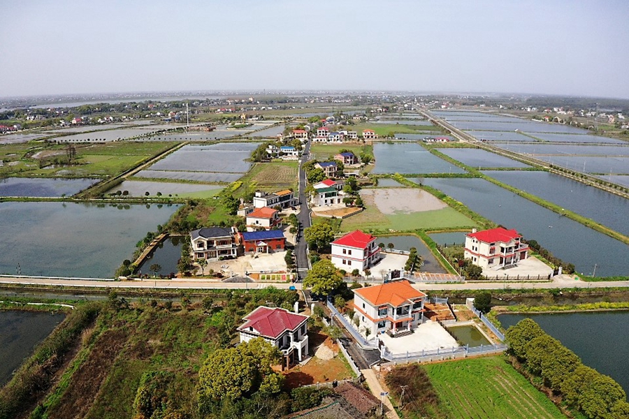 苏蓼村：融于江南水乡的农业公园