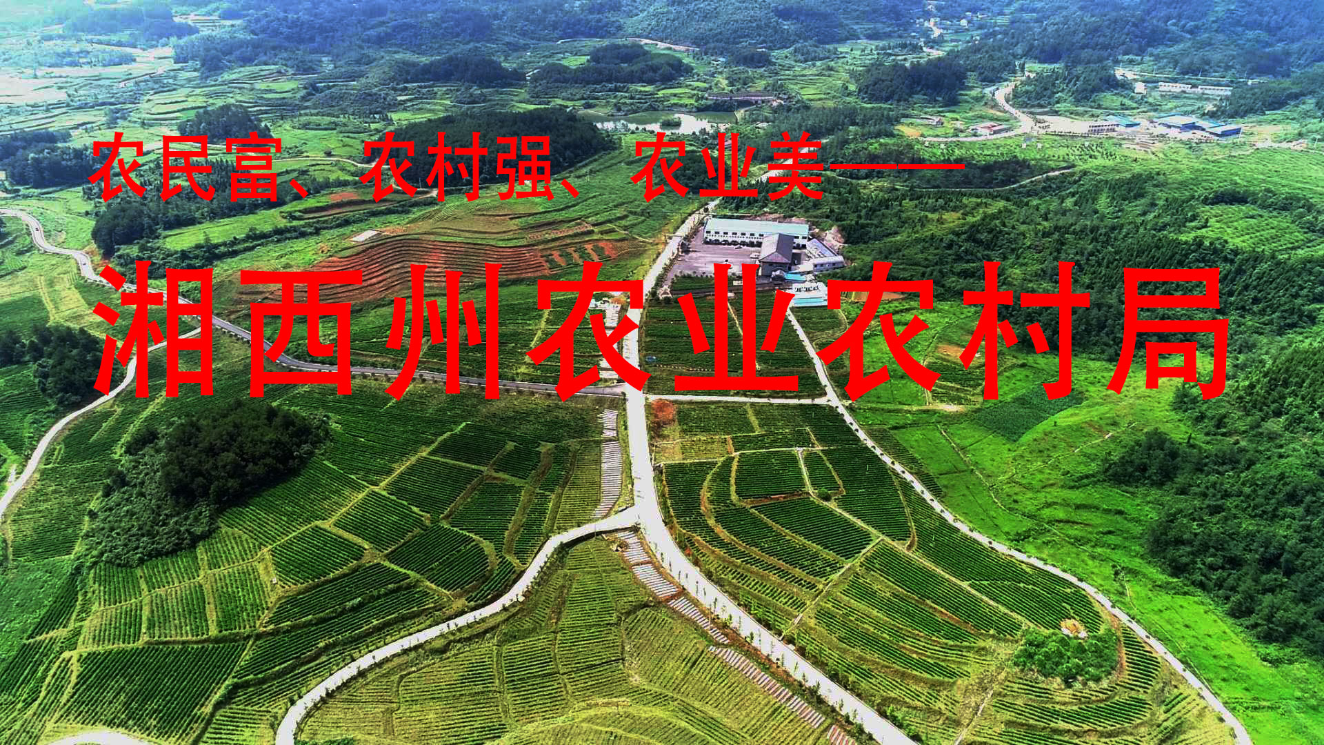 湘西州农业农村局