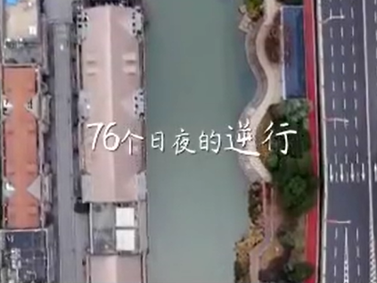 武汉解封一周年｜赏樱花、吃热干面 共赴春天的约定