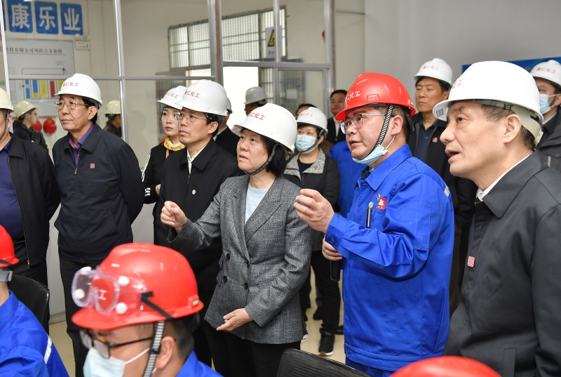 沈跃跃率队来湘开展固体废物污染环境防治法执法检查