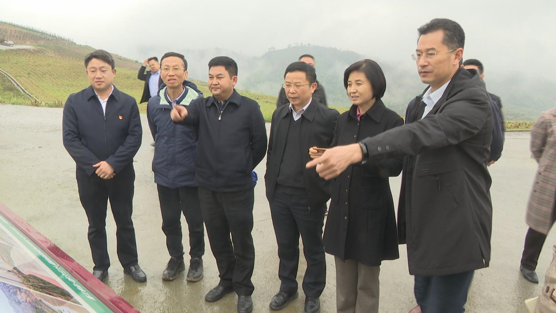 國(guó)家林業(yè)和草原局生態(tài)保護(hù)修復(fù)司來冷水江市開展科學(xué)綠化專題調(diào)研