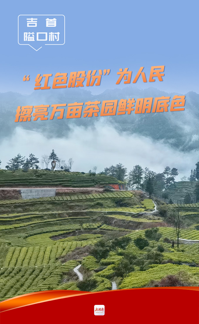 吉首隘口村:"红色股份"为人民,擦亮万亩茶园鲜明底色直播员04-15 08:1