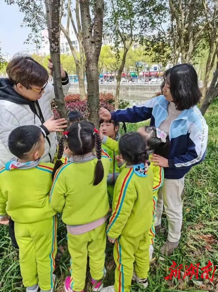 資陽區第一幼兒園:追隨兒童視角,