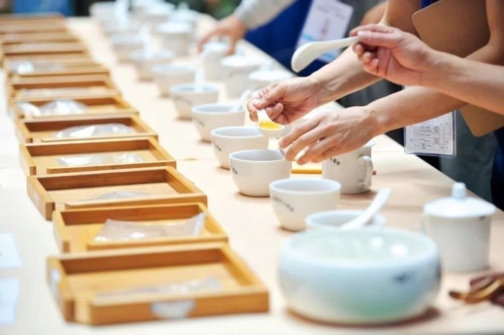 北京晚报：“一两黄金一两茶”，谁在为天价茶叶“注水”