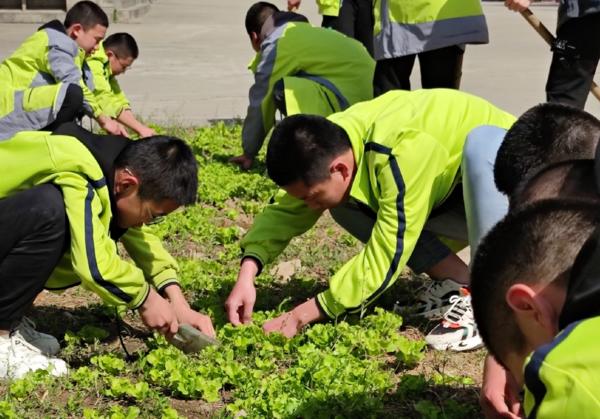 湖南3地入选全国中小学劳动教育实验区