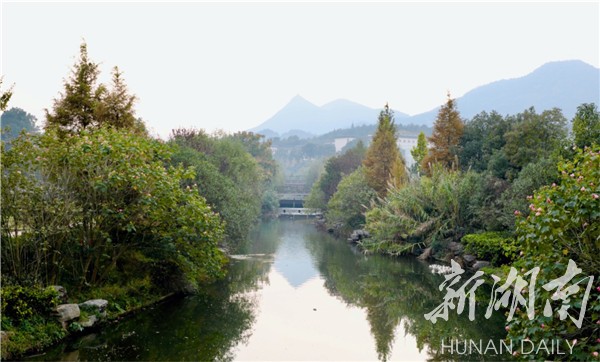 韶山乡：打造“绿色长廊”，让村民出门见绿就近赏景