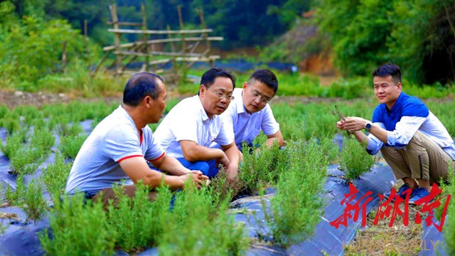 駐村三年多,周志強工作幹得好不好?和基層群眾感情深不深?