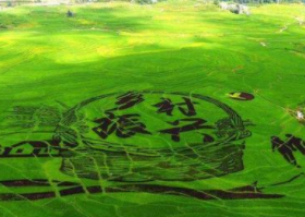 全省新一轮乡村振兴驻村干部用实际行动接好“接力棒”