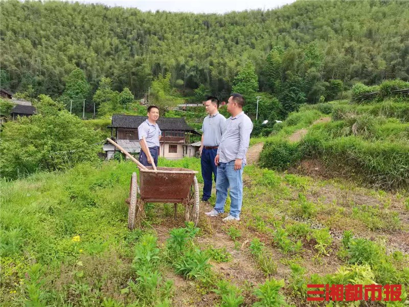 聚焦为民办实事,长沙民政职院驻村帮扶接续发力