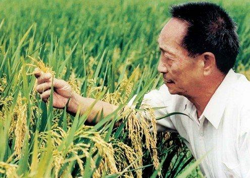 书摘丨袁隆平的世界