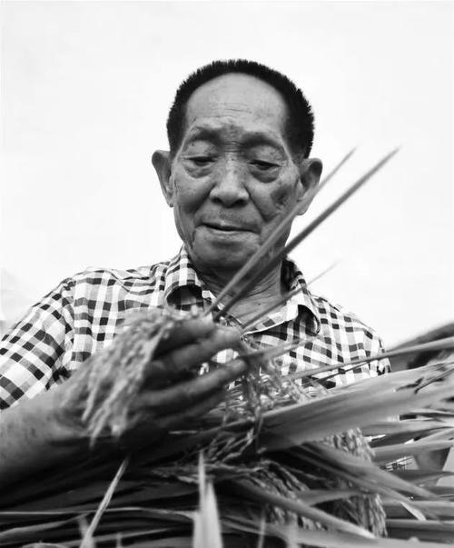 袁隆平：为天下忧乐者功在千秋
