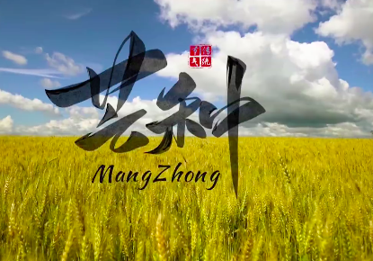 芒种忙两头 忙收又忙种