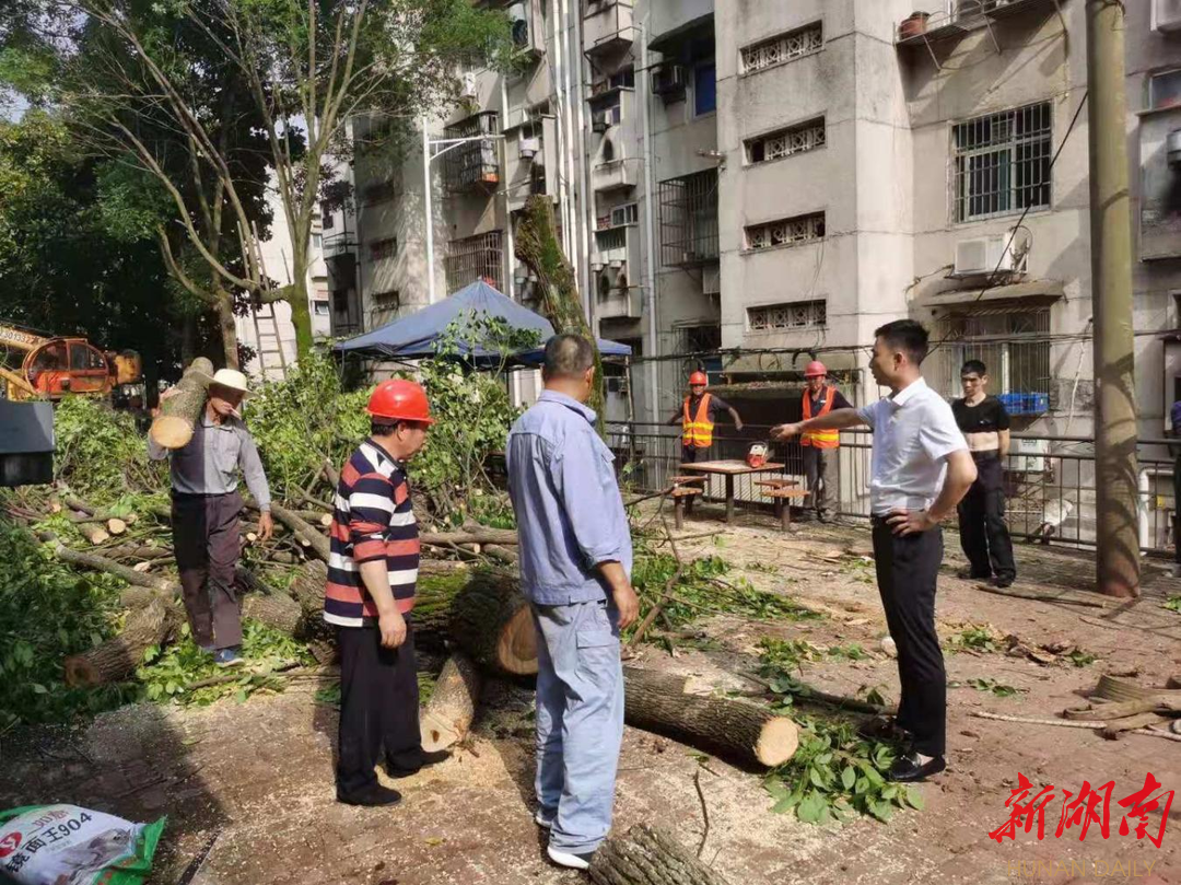 云溪街道胜利沟社区：学史力行，真情暖民
