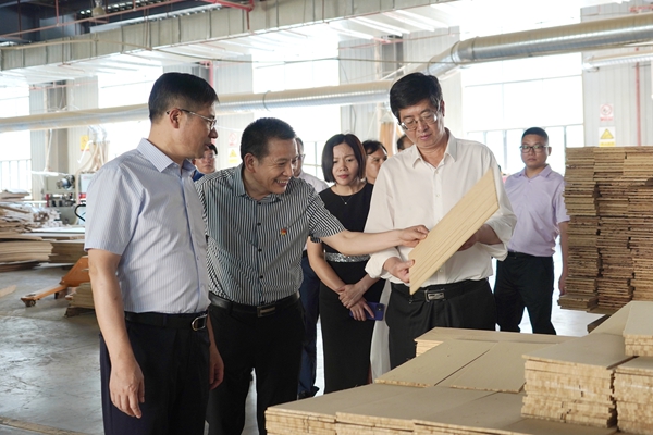 罗建华来双调研乡村振兴和产业项目建设工作