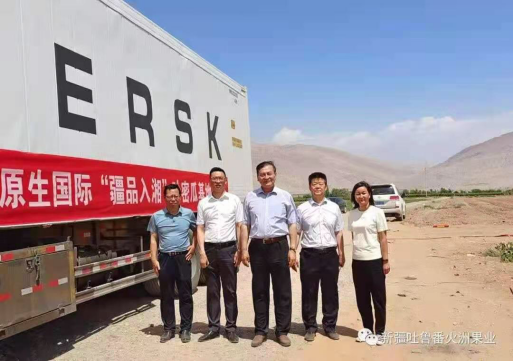 新疆吐鲁番火洲果业牵手湖南粮油集团入湘送“甜蜜”
