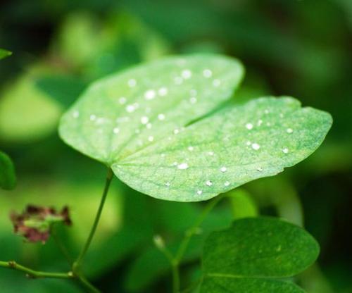 注意四类“考后综合征”，高考后心理调节别忽视