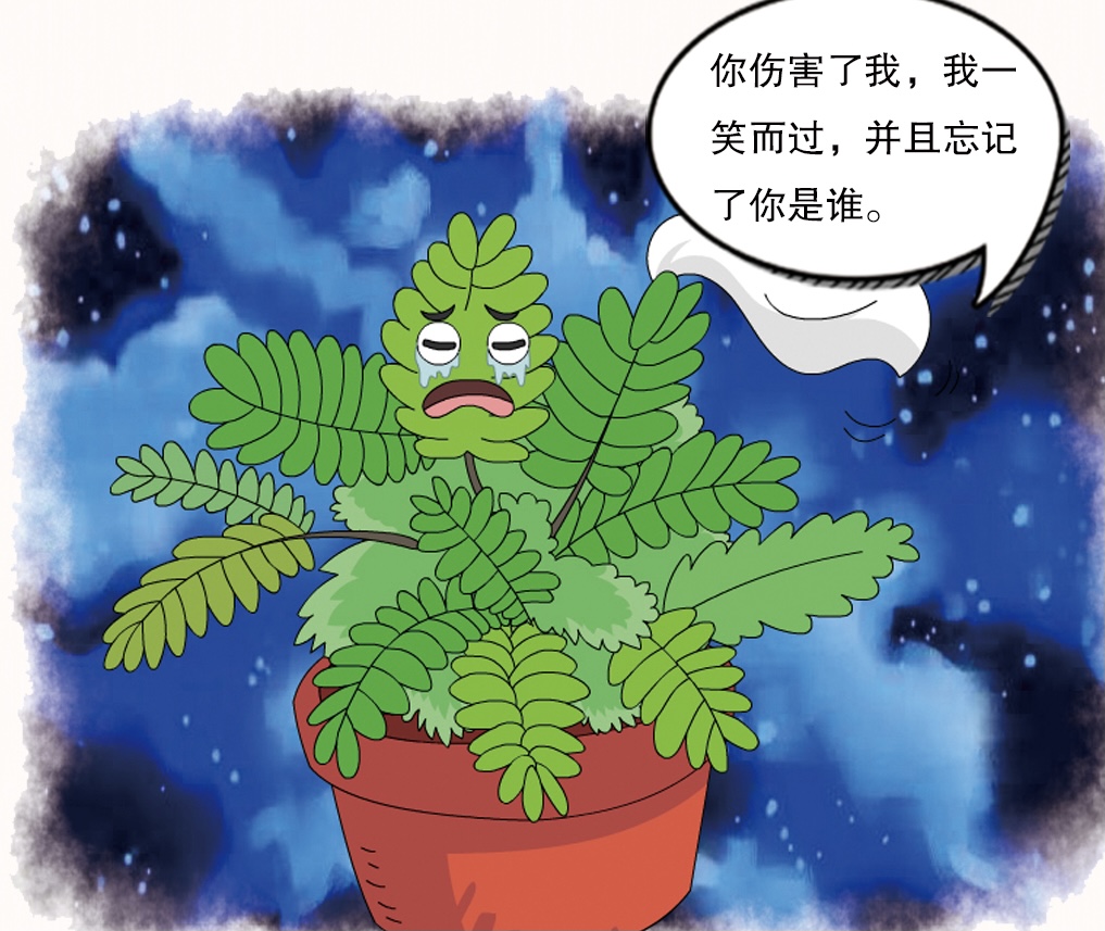 放学后·漫画｜奇怪的知识3：不停碰触含羞草，它会累吗？