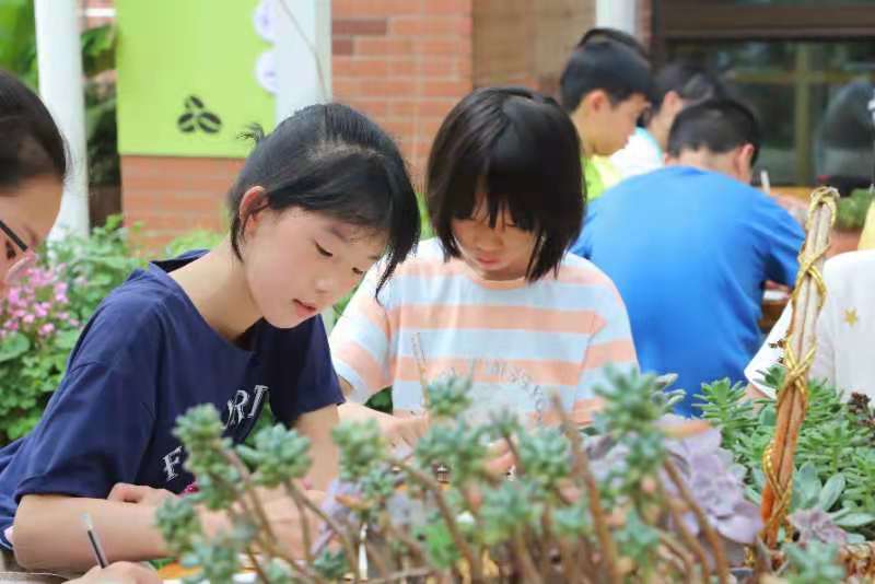 长沙马坡岭小学：综合实践让劳动教育落地生根